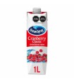 JUGO ARANDANOS OCEAN SPRAY x 1lt