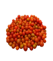 TOMATE PERLA x 250gr