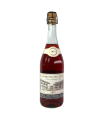 VINO LAMBRUSCO GIOTTO ROSADO BT750ML