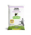 LECHE COLANTA SEMIDES / DESLACTOS  BL1000CC