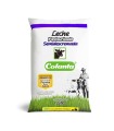 LECHE COLANTA SEMIDESCRE BL1000CC