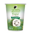 YOGURT COLANTA GUANABANA VS200G x UN