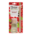 AMBIENTADOR BRIZZE PALITO F.BOSQUE 60ML