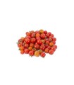 TOMATE PERLA x 250gr