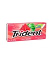 CHICLE TRIDENT SANDIA WATERMx30.6GRxUND