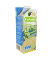 AVENA COLANTA NATURAL x 1lt